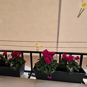 https://city-center-apartment-3.albaniahotels.org